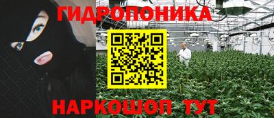 трава Пугачёв