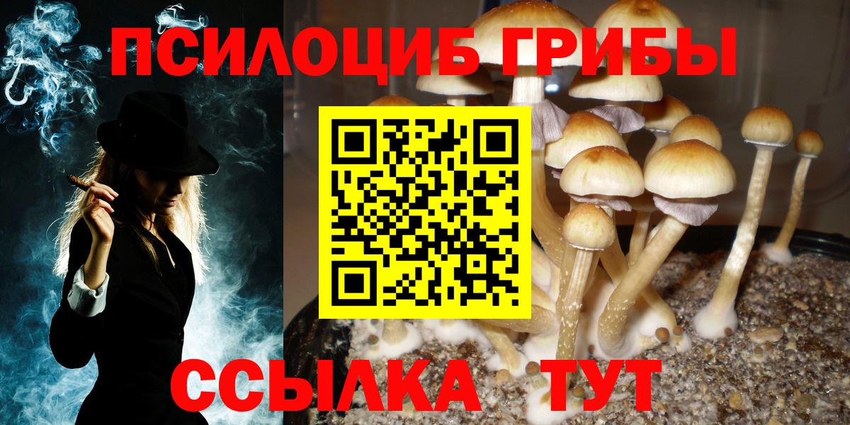 Галлюциногенные грибы мухоморы  Псилоцибиновые грибы мухоморы  где продают наркотики  Вход с VPN  Ангарск 